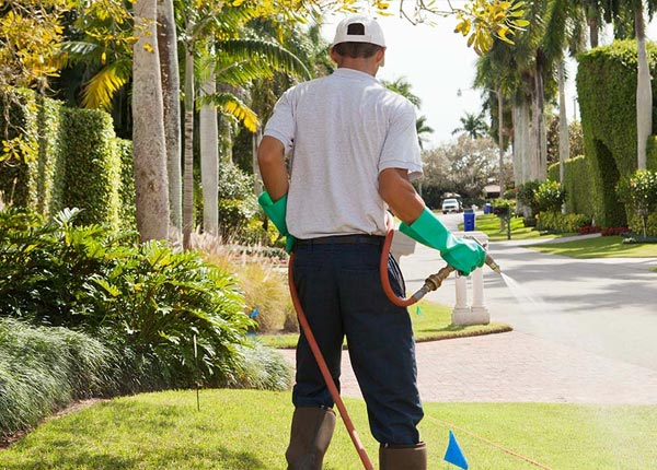 About Petersburg TN Pest Control Pros